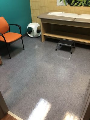 Floor Care in Cypress, TX (4)