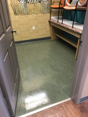 Floor Care in Cypress, TX (2)