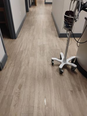 Floor Cleaning